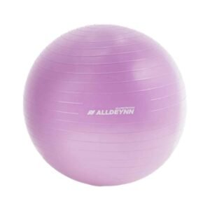 Gymnastic Ball 75cm With Inflator - ALLDeynn
